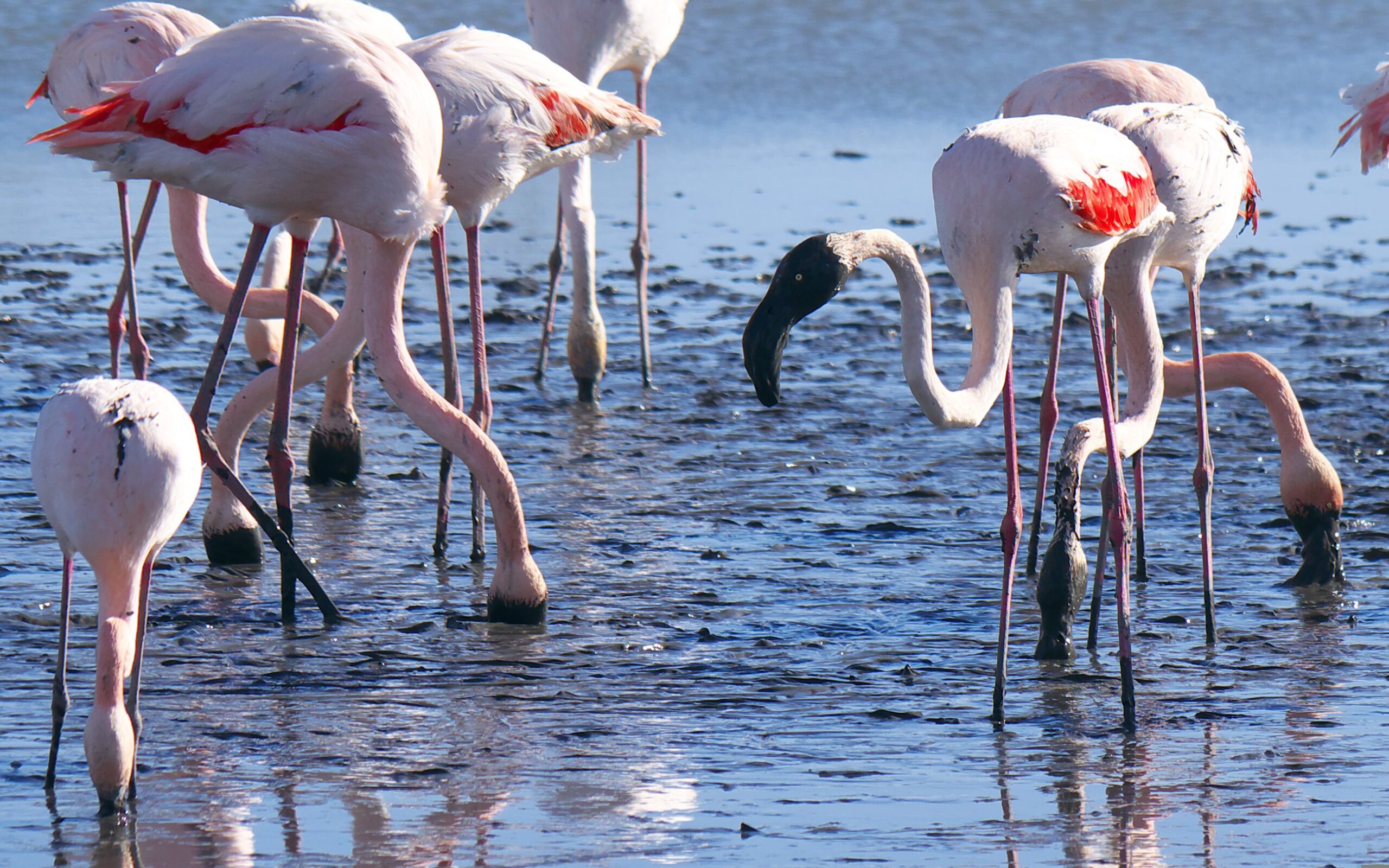 La Guajira
